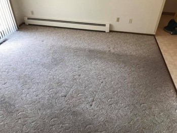 Before Picture